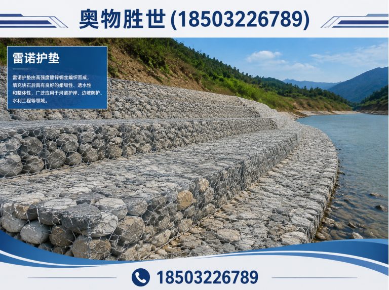周口雷诺护垫展示图